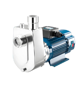 FBZ  stainless steel pump